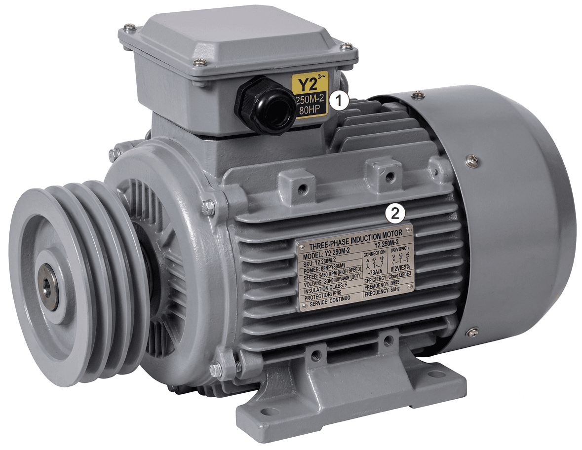 Motor Eléctrico Trifásico Y2 250M-2 80HP